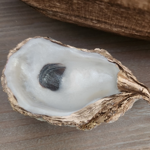 Elegant unique oyster jewelry dish - Picture 5 of 6